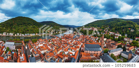 View of Heidelberg 105259683