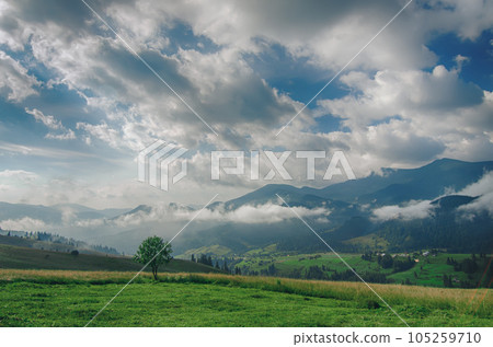Summer mountain landscape 105259710