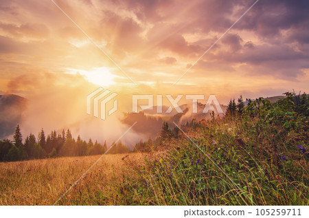 Foggy morning landscape 105259711