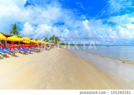 Coroa Vermelha beach, Bahia, Brazil 105260181