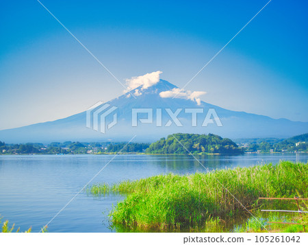 Fujikawaguchiko Mt.Fuji from Oishi Park 105261042