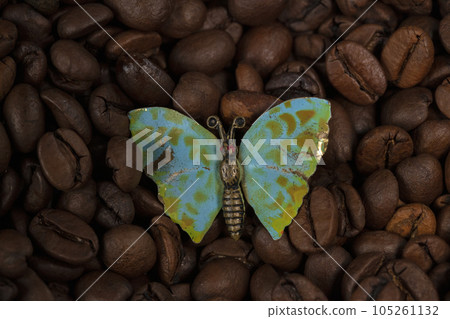 A butterfly brooch lies on the scattered coffee beans. A butterfly brooch lies on the scattered coffee beans. 105261132