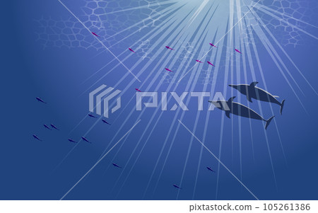 Background _ underwater (two dolphins swimming under the light) 105261386