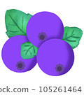 Blueberry 105261464