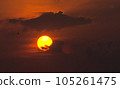 Sun Bird 105261475