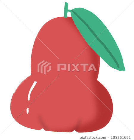 Rose apple 105261691