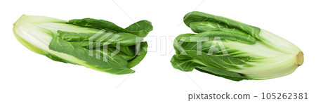 Organic fresh chard plant isolated on white background with full depth of field 105262381