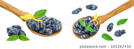 Fresh honeysuckle blue berry in wooden spoon isolated on white background with full depth of field. Top view. Flat lay. 105262430