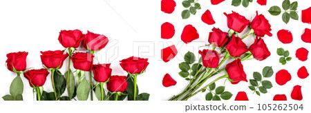 beautiful red rose with leaves isolated on white background with copy space for your text. Top view. Flat lay pattern 105262504