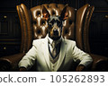Portrait of a man in a white business suit with a dog's head sitting in an armchair. The concept of trust and reliability 105262893