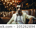 Portrait of a man in a white business suit with a dog's head sitting in an armchair. The concept of trust and reliability 105262894
