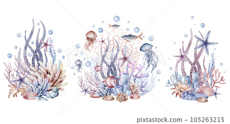 Composition of marine plants. Set of marine watercolor illustrations of sea corals, starfish, algae, shells, bubbles. Isolated on white background. Composition of marine plants. Set of marine watercolor illustrations of sea corals, starfish, algae, shells, bubbles. Isolated on white background. 105263215