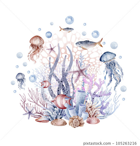 Composition of marine plants. Set of marine watercolor illustrations of sea corals, starfish, algae, shells, bubbles. Isolated on white background. Composition of marine plants. Set of marine watercolor illustrations of sea corals, starfish, algae, shells, bubbles. Isolated on white background. 105263216