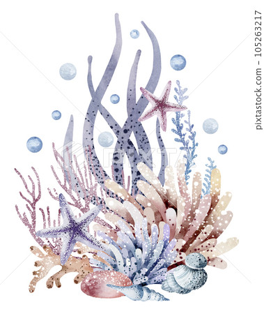 Composition of marine plants. Set of marine watercolor illustrations of sea corals, starfish, algae, shells, bubbles. Isolated on white background. Composition of marine plants. Set of marine watercolor illustrations of sea corals, starfish, algae, shells, bubbles. Isolated on white background. 105263217