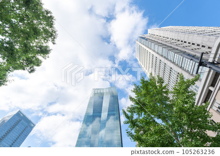 清爽的綠色商業區 105263236