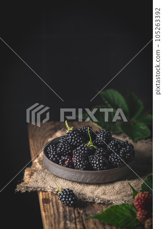 Ripe blackberries with leaves Ripe blackberries with leaves 105263392