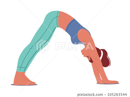 Woman In Parvathasana Yoga Pose, Also Known As Downward Facing Dog. Hands And Feet On The Ground, Hips High 105263544