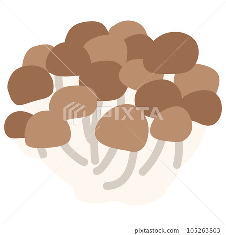 Illustration of a simple deformed shimeji mushroom 105263803