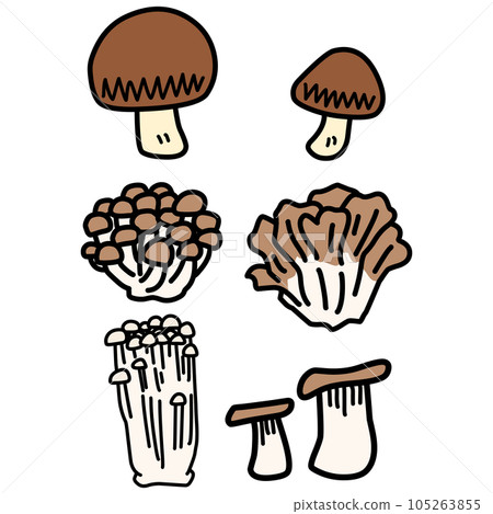 常用於烹飪的蘑菇插圖集 105263855