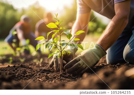 Growing Together Community Engagement in Sustainable Practices through Tree Planting and Local Food Production. created with Generative AI Growing Together Community Engagement in Sustainable Practices through Tree Planting and Local Food Production. created with Generative AI 105264235