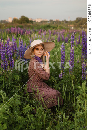 A beautiful woman in a straw hat walks in a field with purple flowers. A walk in nature in the lupin field A beautiful woman in a straw hat walks in a field with purple flowers. A walk in nature in the lupin field 105266886