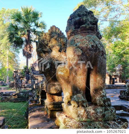 Snapshot illustrating the terrace in front of the Banteay Kdei Temple, decorated with imposing balustrades in the form of guardian lions. Snapshot illustrating the terrace in front of the Banteay Kdei Temple, decorated with imposing balustrades in the form of guardian lions. 105267021