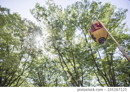 清新的綠色意象樹和綠燈節綠色綠葉 清新的綠色意象樹和綠燈節綠色綠葉 105267125