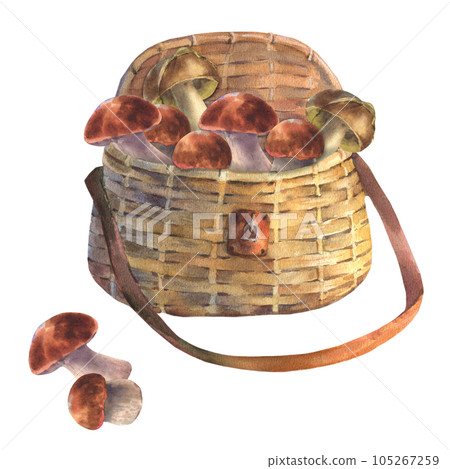 Set of edible mushrooms and wicker basket, watercolor illustration. Forest woodland clipart with boletus for card design, print, fabric Set of edible mushrooms and wicker basket, watercolor illustration. Forest woodland clipart with boletus for card design, print, fabric 105267259