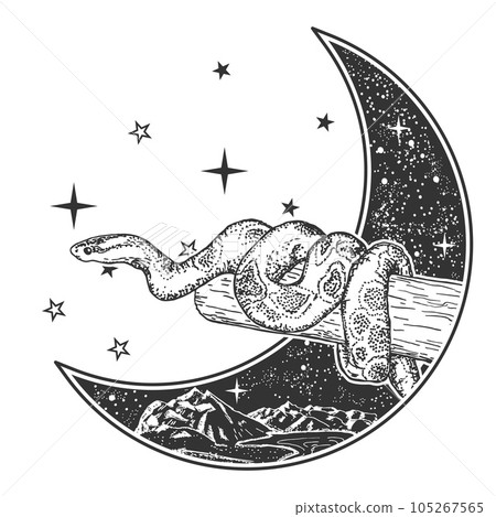 Crescent moon and snake coiled around branch vector illustration 105267565