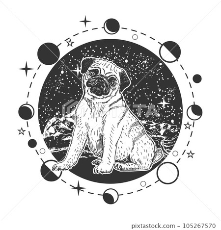 Cute pug-dog over mystical vector background in boho style 105267570