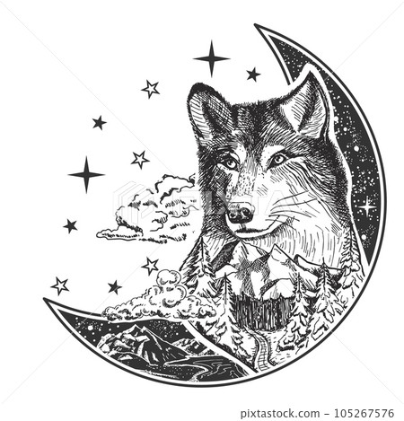 Vector illustration with moon and wolf in boho style 105267576