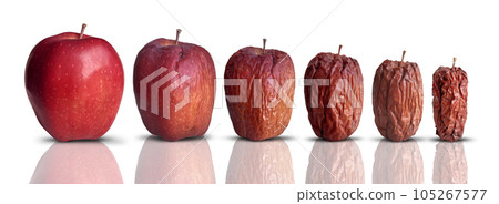 Aging Process Aging Process 105267577