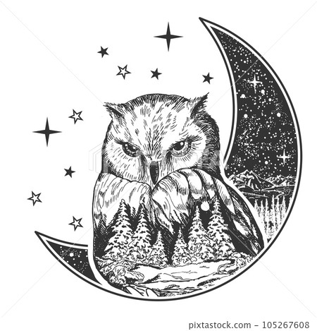 Boho owl bird with moon, stars and forest design Boho owl bird with moon, stars and forest design 105267608