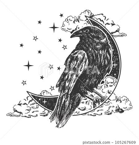 Mystic boho black raven vector illustration Mystic boho black raven vector illustration 105267609