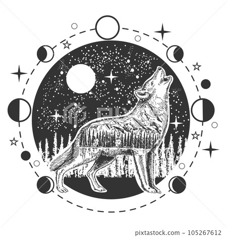 Wolf howling at full moon in night boho wild animal 105267612