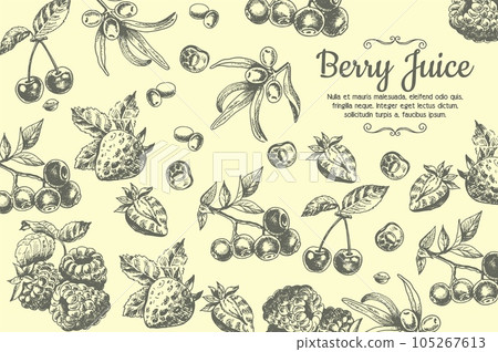 Berry juice sketch drawing in hand drawn vintage style 105267613