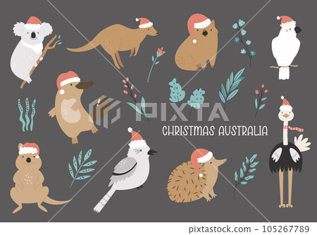 Set of hand drawn australian animals in Christmas santa hats - koala, ostrich, kangaroo, platypus,echidna 105267789