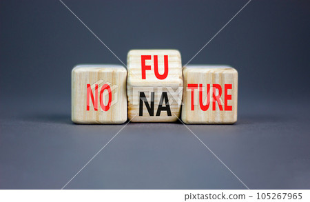 No future or nature symbol. Concept words No future no nature on wooden block. Beautiful grey table grey background. Business ecological no future or nature concept. Copy space. No future or nature symbol. Concept words No future no nature on wooden block. Beautiful grey table grey background. Business ecological no future or nature concept. Copy space. 105267965