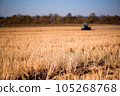 the tractor plows the field in autumn 105268768