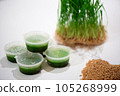 Juice and fresh wheat grass on the white table. 105268999