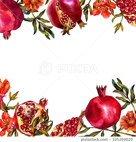 Ripe pomegranate. Frame of pomegranate fruits on a branch, burst, cut pomegranate, pomegranate flowers. Watercolor. Ripe pomegranate. Frame of pomegranate fruits on a branch, burst, cut pomegranate, pomegranate flowers. Watercolor. 105269020