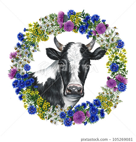 The head of a black and white cow wreath of wild flowers. Watercolor hand drawn illustration. Isolate. For the design of dairy and farm products. For banner, flyer, label and packaging. The head of a black and white cow wreath of wild flowers. Watercolor hand drawn illustration. Isolate. For the design of dairy and farm products. For banner, flyer, label and packaging. 105269081