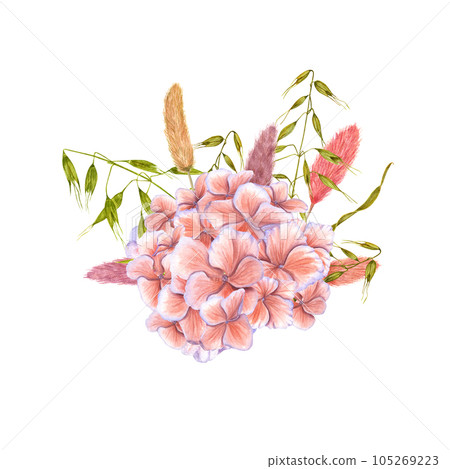 Floral composition of hydrangea, dried lagurus, wild oats. Watercolor illustration of flower, greenery isolated on white background. Bouquet for postcards, greeting design. 105269223