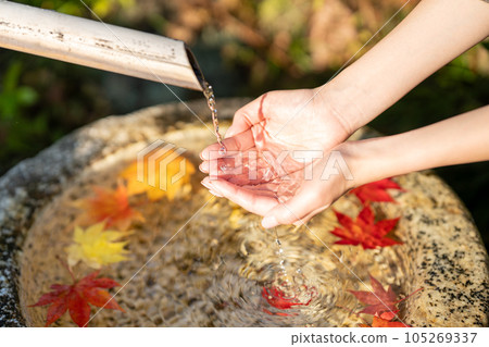 A washbasin with floating autumn leaves and a woman's hand [parts cut] 105269337