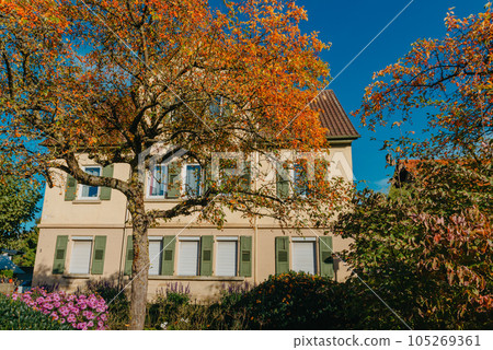 House with nice garden in fall. Flowers in the City Park of Bietigheim-Bissingen, Baden-Wuerttemberg, Germany, Europe. Autumn Park and house, nobody, bush and grenery 105269361
