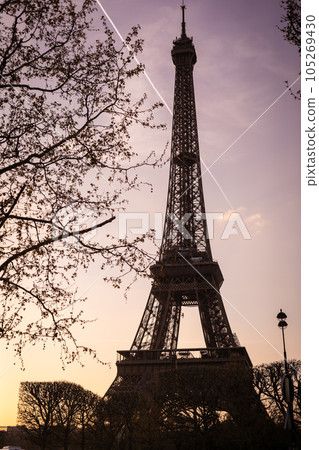 Eiffel Tower at sunrise Eiffel Tower at sunrise 105269430