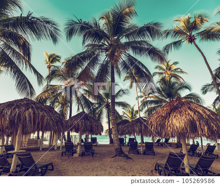 Tropical carribbean beach Tropical carribbean beach 105269586