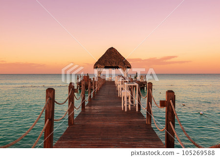 Tropical carribbean beach 105269588