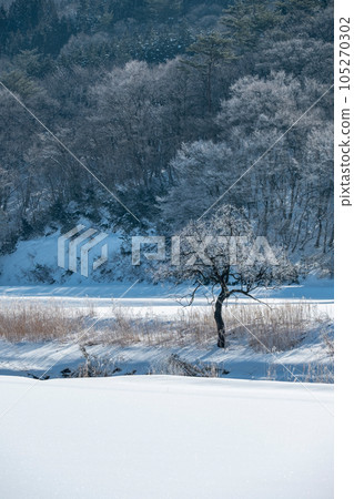 里山霜（蒜山高原） 105270302