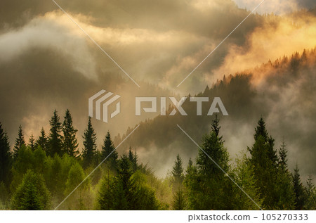 Misty mountain landscape 105270333